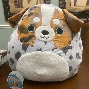 Raylor the Australian Shepherd 20” Squishmallow